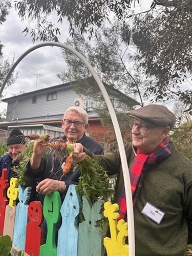 Carrot Festival