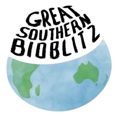 Great Southern Bioblitz written across an image of the planet earth