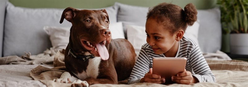 Girl and dog lying on bed